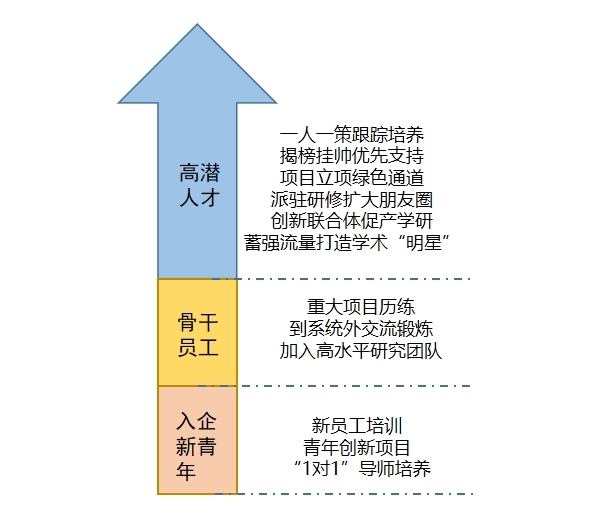 系统培养